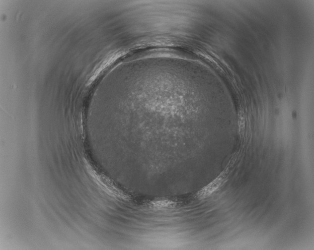 X0000057080158200509091257