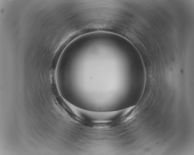 X0000057080160200509091257