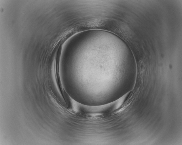 X0000057080164200509091257