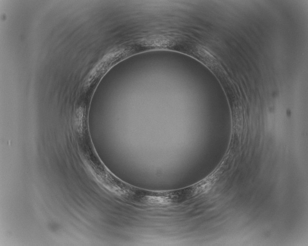 X0000057080167200509091257