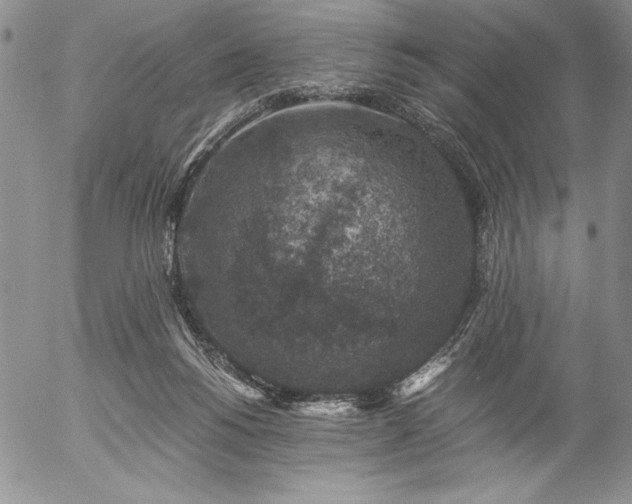 X0000057080168200509091257