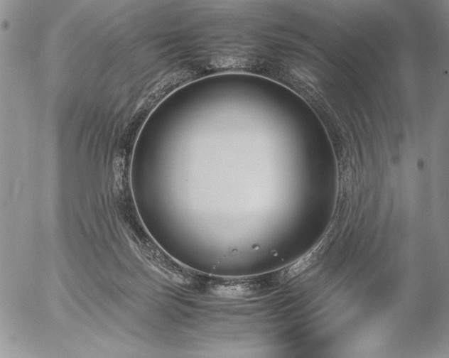 X0000057080171200509091257