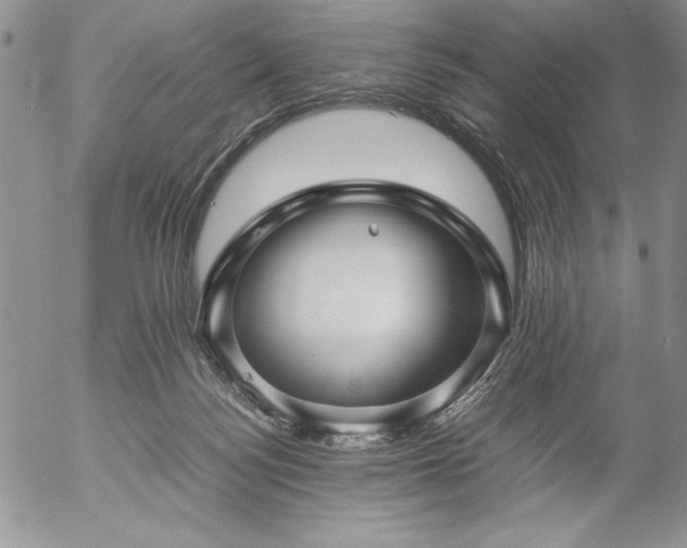 X0000057080172200509091257