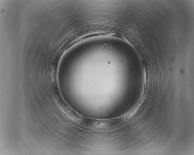 X0000057080174200509091257