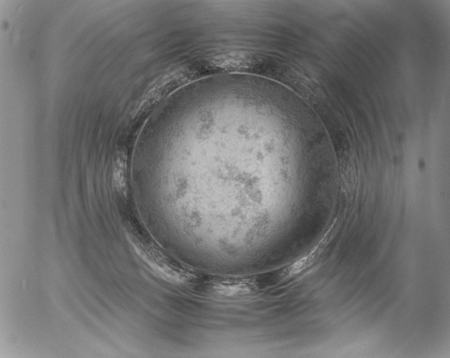 X0000057080175200509091257