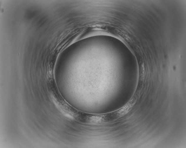 X0000057080176200509091257