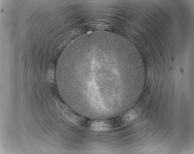 X0000057080177200509091257