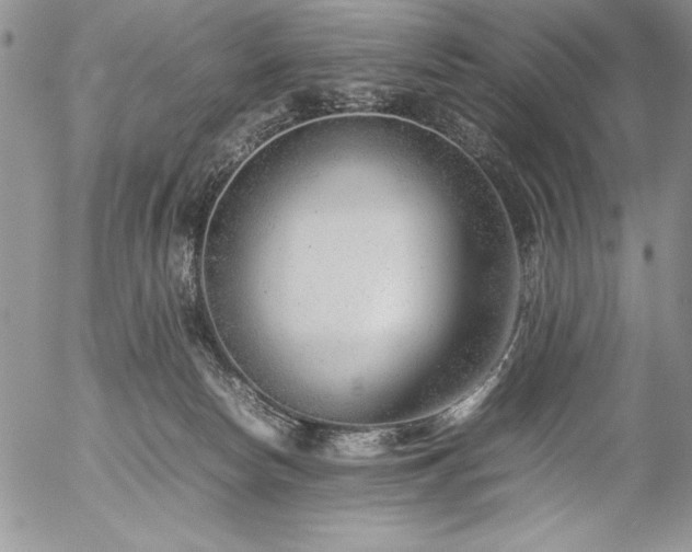 X0000057080178200509091257