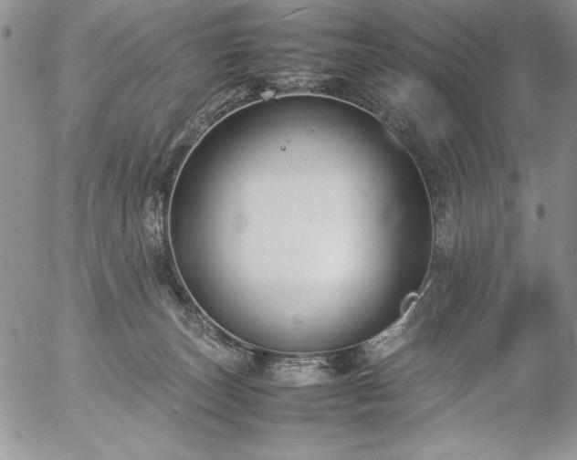 X0000057080179200509091257