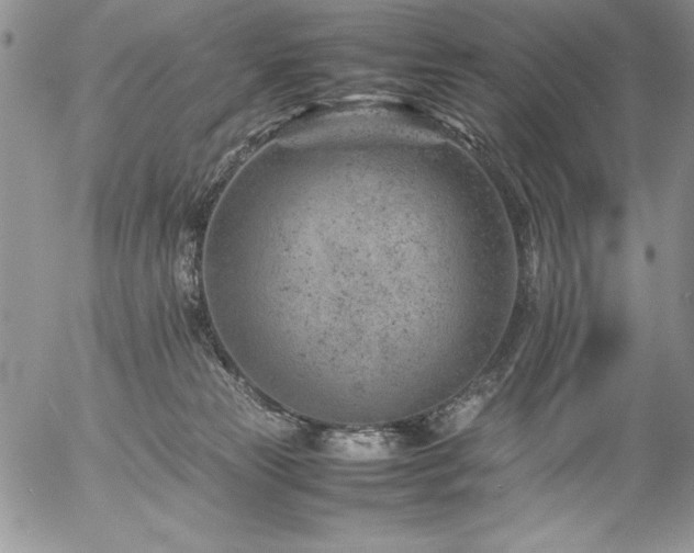 X0000057080181200509091257