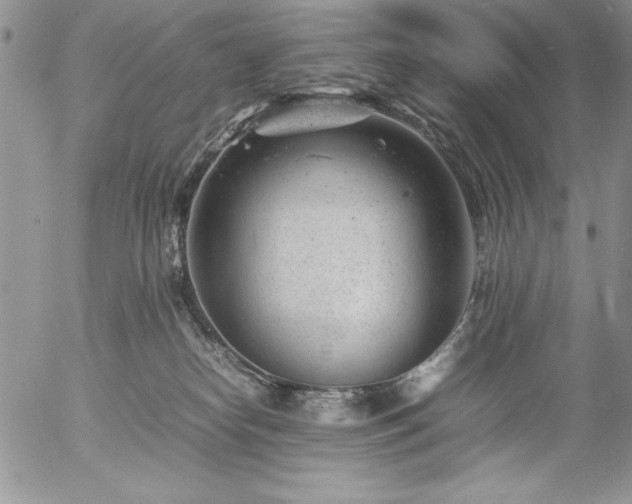 X0000057080182200509091257