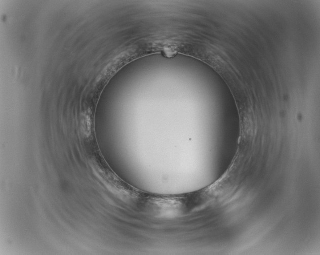 X0000057080183200509091257