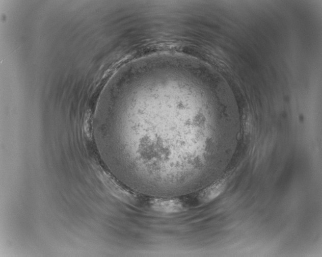 X0000057080185200509091257