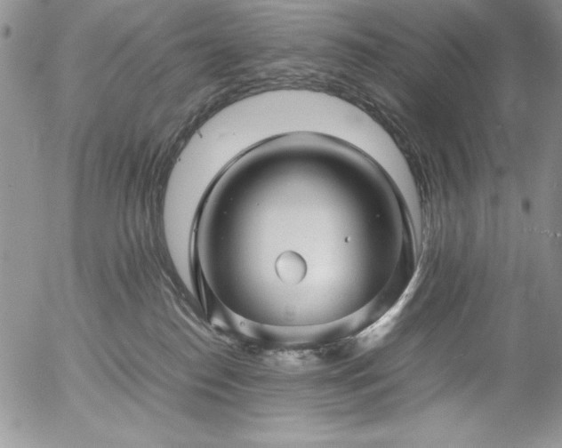 X0000057080186200509091257