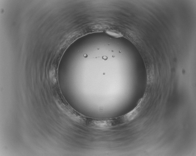 X0000057080187200509091257