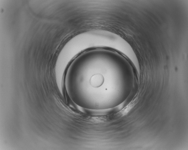 X0000057080188200509091257