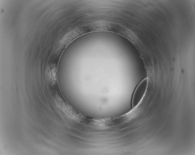 X0000057080190200509091257