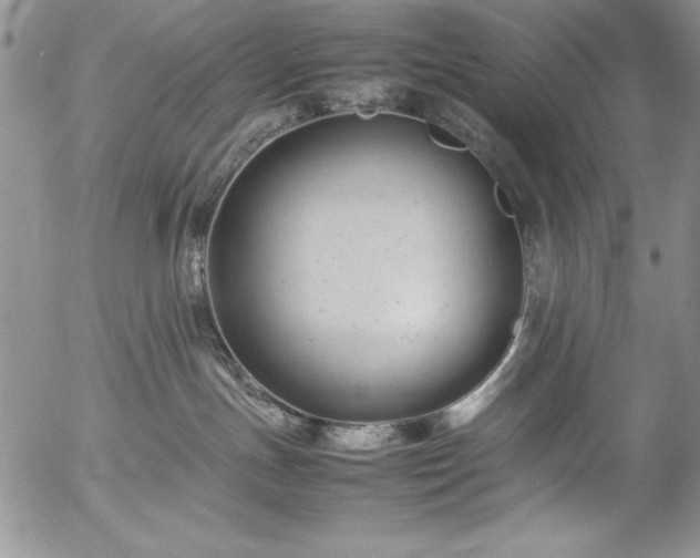 X0000057080191200509091257