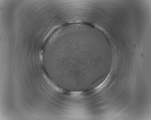 X0000057080192200509091257