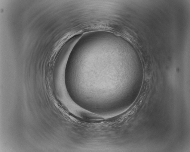 X0000057080193200509091256