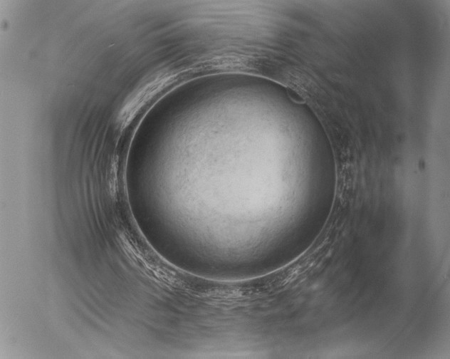 X0000057080194200509091256