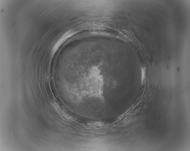 X0000057080195200509091256