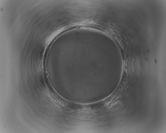 X0000057080196200509091256