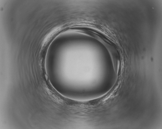 X0000057080197200509091256