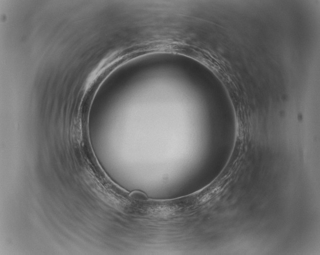 X0000057080198200509091256