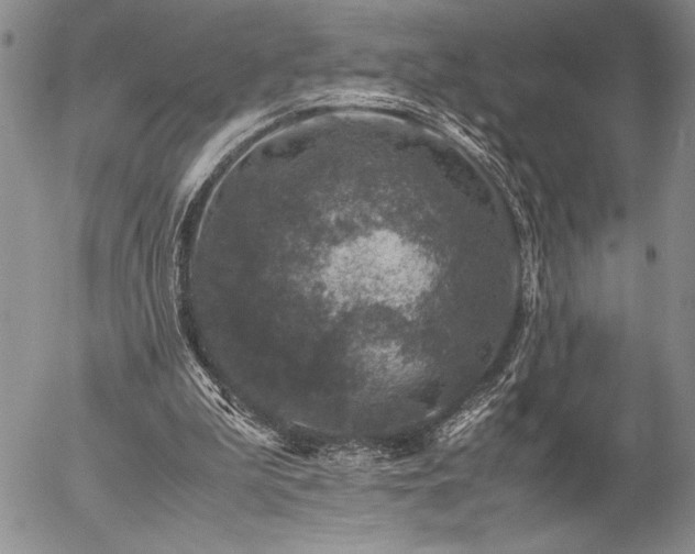 X0000057080199200509091256