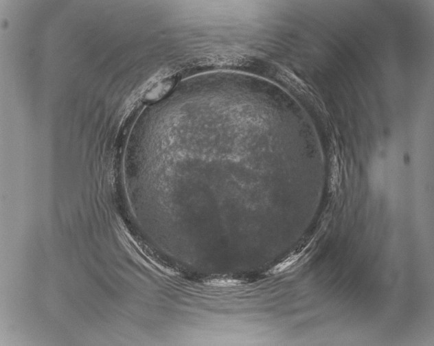 X0000057080203200509091256