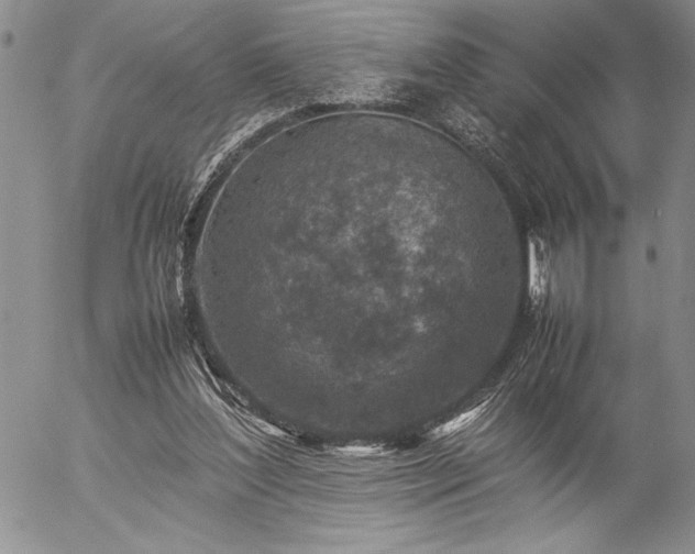 X0000057080204200509091256