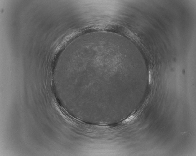 X0000057080205200509091256