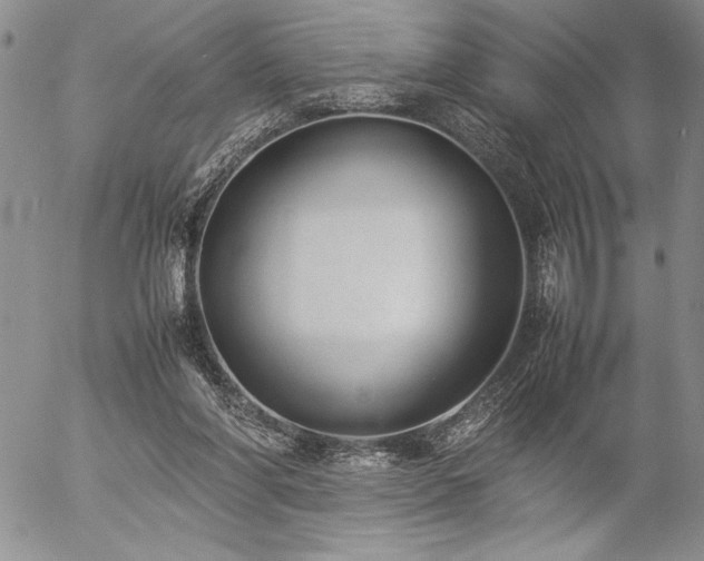 X0000057080206200509091256