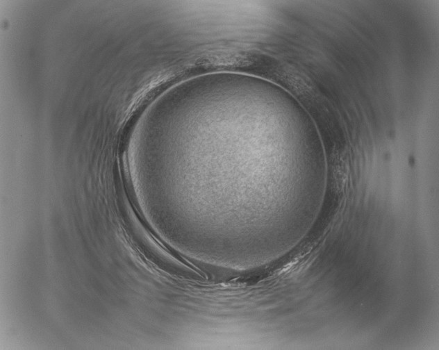 X0000057080207200509091256