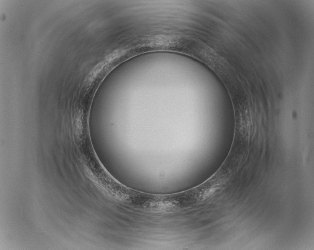 X0000057080208200509091256