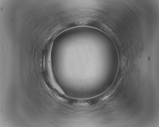 X0000057080209200509091256