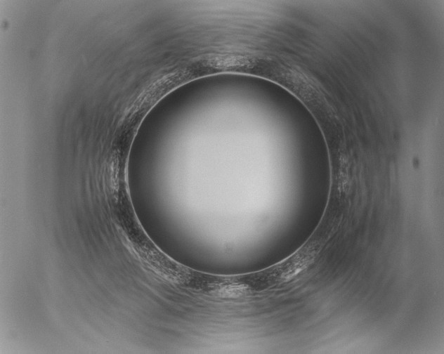 X0000057080210200509091256