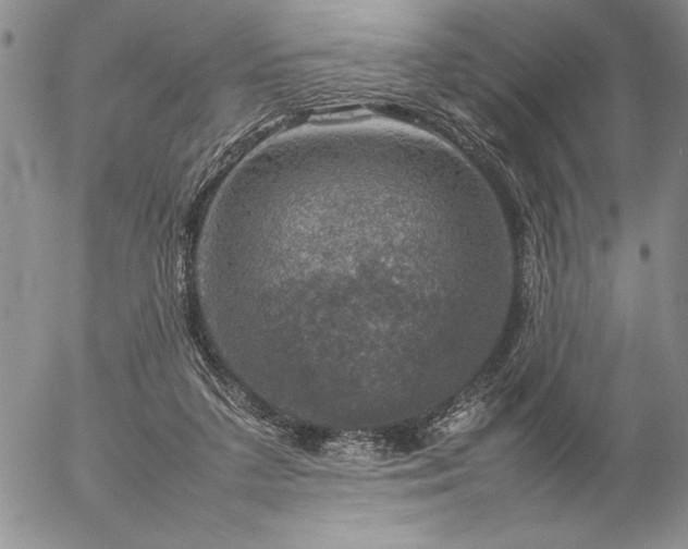 X0000057080211200509091256