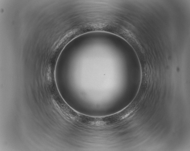 X0000057080212200509091256