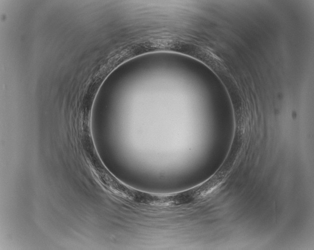 X0000057080213200509091256