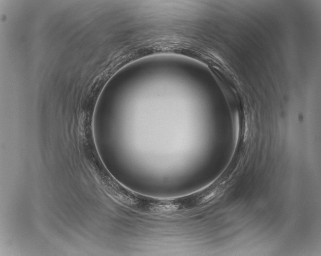 X0000057080217200509091256