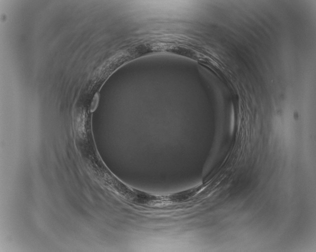 X0000057080219200509091256