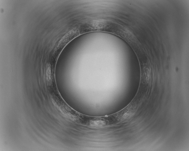 X0000057080220200509091256