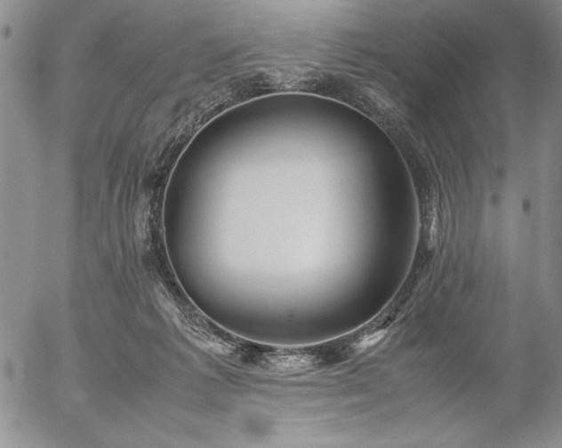 X0000057080221200509091256