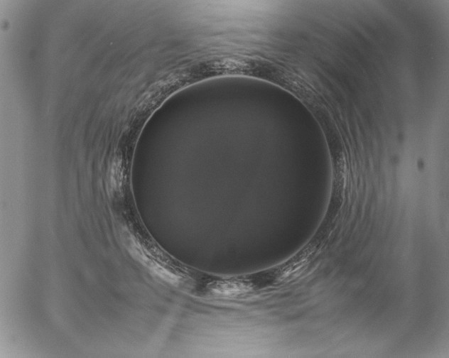 X0000057080223200509091256