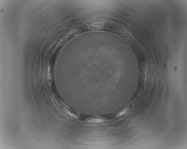 X0000057080224200509091256