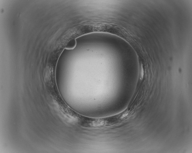 X0000057080225200509091256