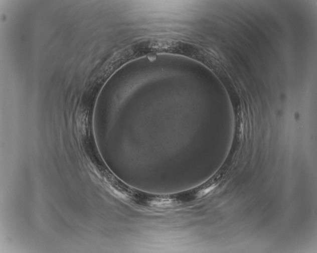 X0000057080227200509091256