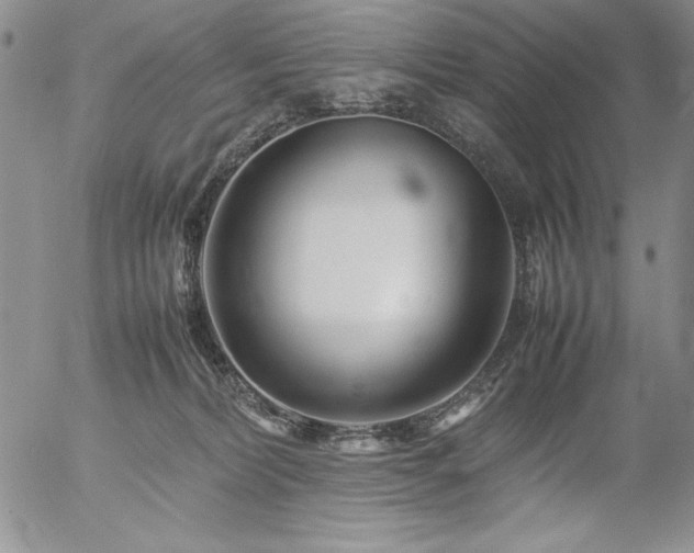 X0000057080228200509091256